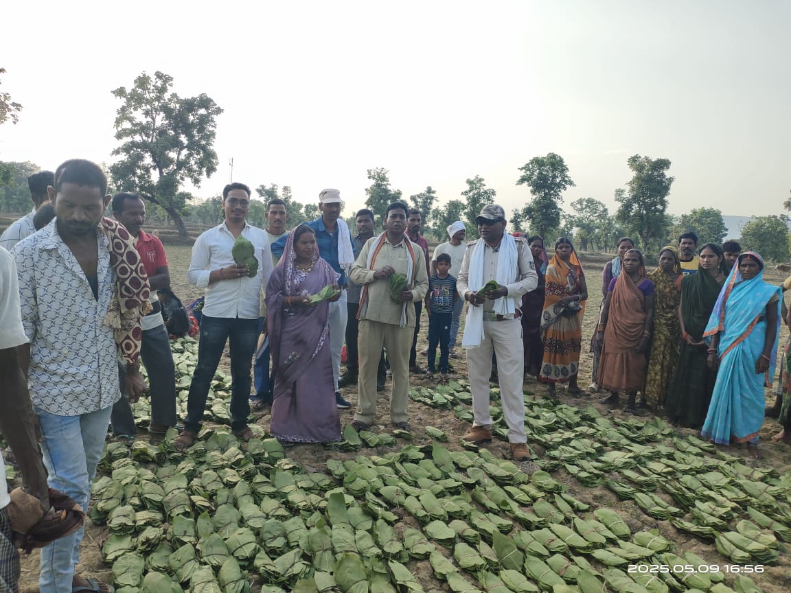 कटघोरा वन मंडल के अंतर्गत तेंदूपत्ता संग्राहकों की समस्याओं के समाधान हेतु औचक निरीक्षण