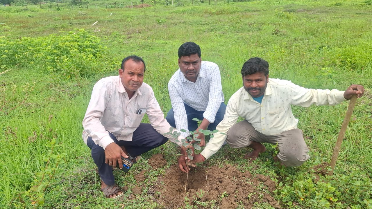 हरेली तिहार पर सिरली उद्यान में जनजाति सलाहकार परिषद के सदस्य रघुराज सिंह उइके ने कियापौधारोपण