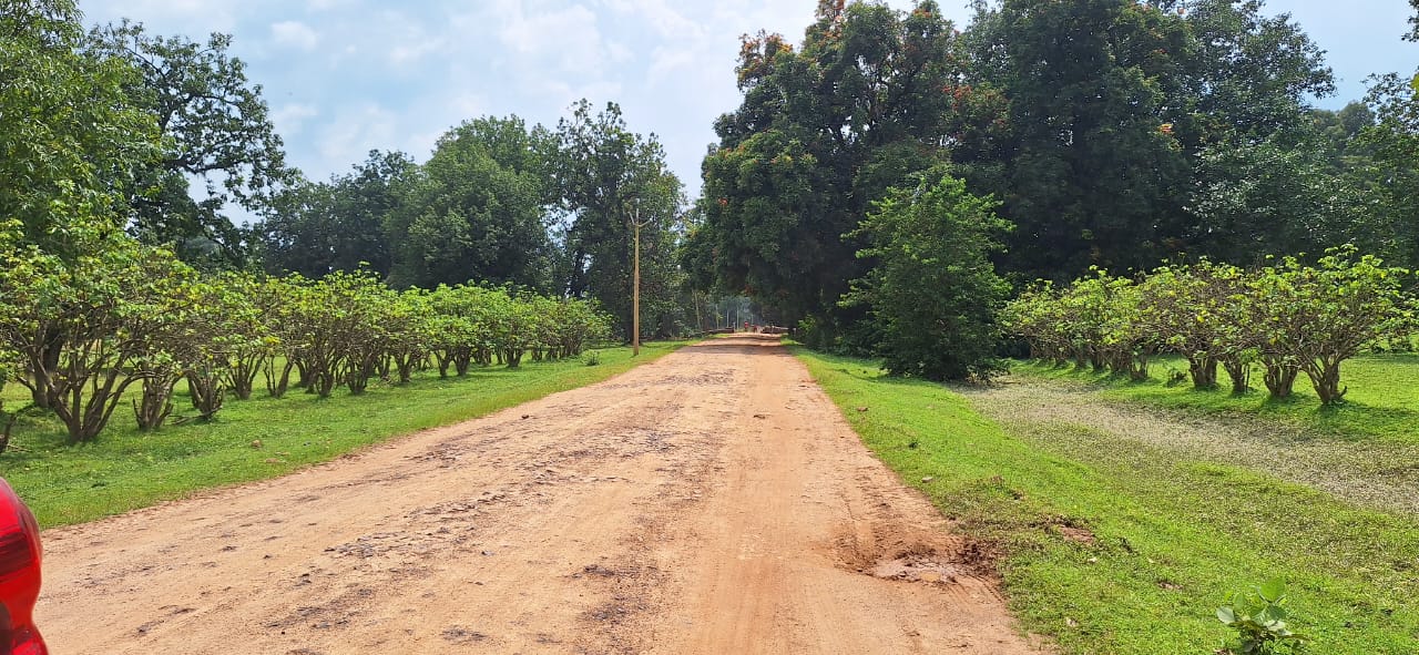 चिर्रा से श्यांग, पूरी होगी सड़क की मांग, काम हुआ शुरू । डीएमएफ से किया गया 9 करोड़ 35 लाख का प्रावधान । वनांचल क्षेत्रों के दर्जनों गांव के लोगों को मिलेगा बेहतर आवागमन