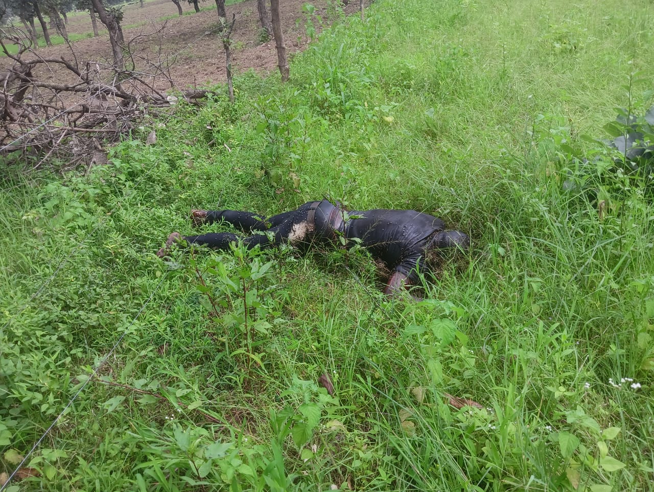 बागों थाना के आमा टिकरा, में पुलिस को 2 युवक , युवती की संदिग्ध लाश पुलिस को बरामद !