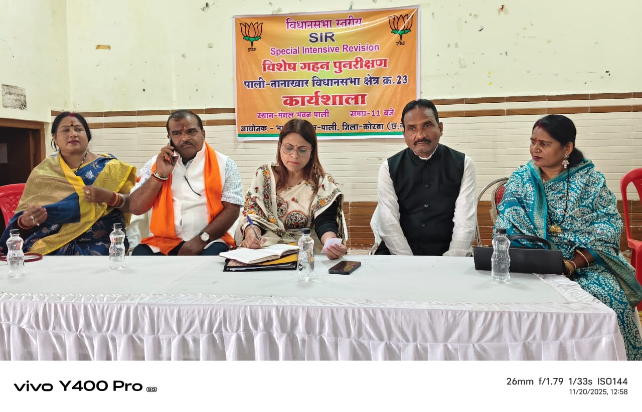 विशेष गहन पुनरीक्षण (SIR) पर भाजपा का विधानसभा स्तरीय कार्यशाला पाली में आयोजित<br>