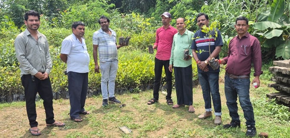 छत्तीसगढ़ शाकम्भरी बोर्ड के सदस्य बसंत पटेल ने पोड़ी उद्यान का किया निरीक्षण*